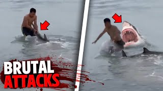 The Most BRUTAL Shark Attacks MARATHON [upl. by Mraz]