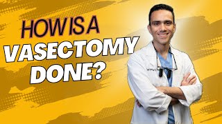 How is A Vasectomy Done [upl. by Ennovihs]