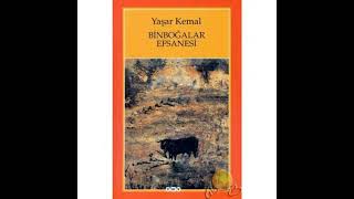 Yaşar kemal🌺Binboğalar efsanesi🌺 PART 11 roman seslikitap yaşarkemal чтение [upl. by Arraik212]