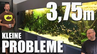 Massives Pflanzenwachstum Pinselalgen und Cyanos  Update von Jochens 3600 Liter Süßwasseraquarium [upl. by Sidwohl284]