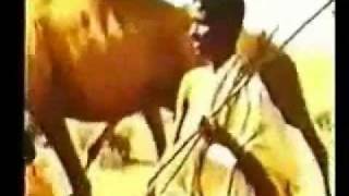 Somali HistoryTaarikh Part 2 [upl. by Earlie]