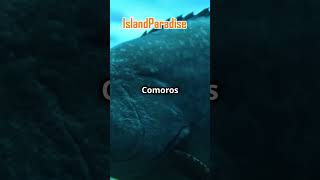 Comoros in 4K Captivating Facts and Hidden Gems [upl. by Rosemare]