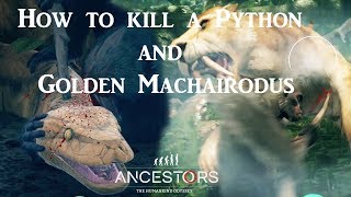 Ancestors The Humankind Odyssey  How to kill a Python and Golden Machairodus [upl. by Scoles]