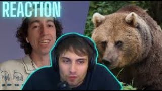 BLUR REACTION  a ORSO VS UOMO di JUMBODRILLO [upl. by Elyagiba395]