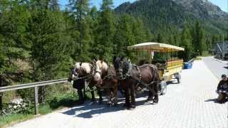 Rosegtal  Engadin  Naturpark [upl. by Legnalos]