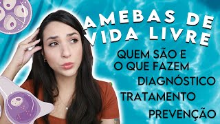 Amebas de Vida Livre Naegleria fowleri Acanthamoeba e Balamuthia mandrillaris  PARASITOLOGIA 10 [upl. by Epuladaug]