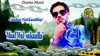 Caalaa Takkaalliny quotMaa Walsakaallaquot New Oromo Music 2024 Official Audio Music [upl. by Allenaj]