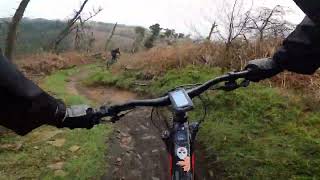 Cwmcarn Mixup of Cafall Twrch and PedalHounds trails 🤙 [upl. by Ayital]