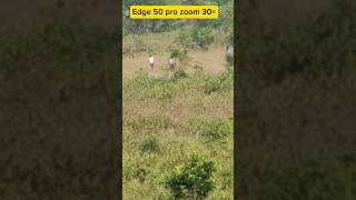 motorola edge 50 pro zoom quality 30× best zoom quality motorolaonezoom motorola50pro viralvideo [upl. by Sulienroc]