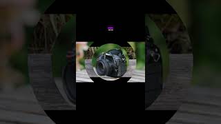 5 Best Camera For Photography 2024 [upl. by Atikahc364]