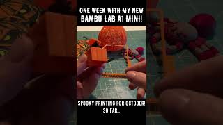 Bambu Lab A1 Mini For The Win [upl. by Yedoc]