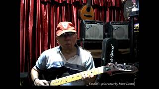 Fraulein Lawton Williams  guitar cover by Johny Damar [upl. by Endys107]