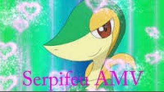 Outside  Snivy AMV [upl. by Annawit817]