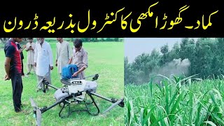 Drone Tech for Sugarcane Pest Control CyberAgriExtension [upl. by Baggott]