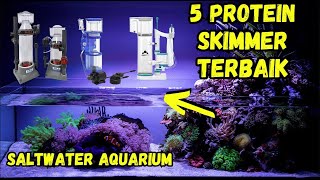 CEK 👉 5 Rekomendasi PROTEIN SKIMMER AQUARIUM Air Laut Terbaik  Aquazone [upl. by Auoy]