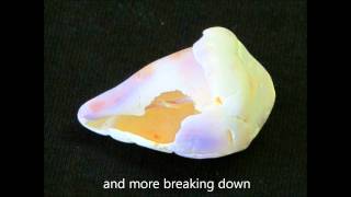 The Making Of A Real Hawaiian Puka Shell Necklacewmv [upl. by Aimal]