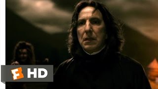 Harry Potter and the Deathly Hallows Part 1 55 Movie CLIP  Dobbys Death 2010 HD [upl. by Annot]