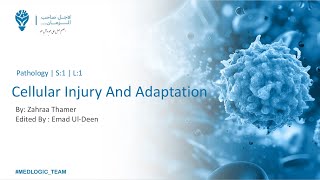 Cellular Injury And Adaptation P1  Pathology [upl. by Cresida]