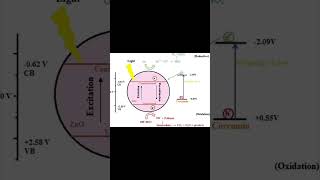 Working of Photocatalyst [upl. by Anassor]