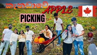 A Day in Canada Apple Picking amp Salmon Run 🍎🐟🍁 English Subtitles කැනඩාවේ ඇපල් වත්තක් බලන්න යමු 🍏🍂 [upl. by Faun401]