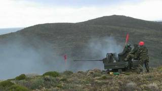 Rheinmetall Mk20 Rh202 Twin AA firing [upl. by Idelle]