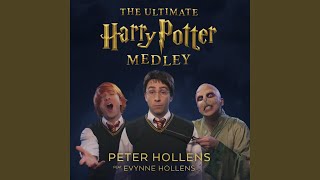 The Ultimate Harry Potter Fan Theory Medley Hedwigs Theme  Fawkes the Phoenix  Double [upl. by Bruis]