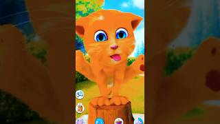 Omg What is Ginger doing 😝👻🤪🍔🤯🙀🍓🧀💙🤪🎉 viral shorts shortsfeed ginger gf cat cartoonhut [upl. by Artek420]