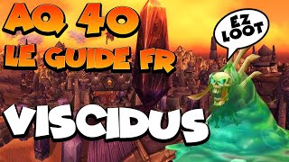 WOW classic  AQ 40  GUIDE FR  Viscidus [upl. by Bugbee]