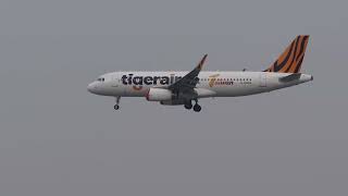 Tigerair Taiwan Airbus A320  MSN 6522 B50005 Taichung RMQ Macau MFM IT375 001519 [upl. by Uwton]