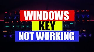 How to Fix Windows Key Not Working on Keyboard [upl. by Ranique53]