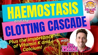 Hemostasis and the Clotting Cascade Why Vitamin K amp Calcium are important [upl. by Etteniuqna]