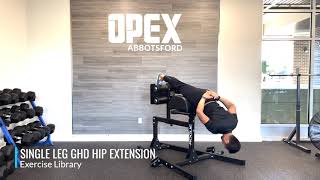 Single Leg GHD Hip Extension [upl. by Eelirrem]