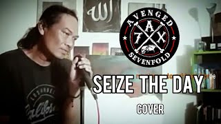 Avenged sevenfold  Seize the daycover [upl. by Nitnelav]