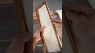 Preventing Wonky Comb amp Why Flow Hive doesn’t provide foundation Pt 3 flowhive beekeeping bees [upl. by Gnoz]