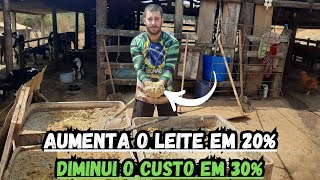 Como aumentamos o leite da nossas vacas e diminuímos nosso custo com ração FORMULAÇÃO [upl. by Ociredef942]