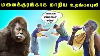 monkey prankurangapuli with monkey prankvvd prank [upl. by Yblok622]