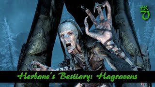 Herbanes Bestiary Hagravens  Elder Scrolls Skyrim Books [upl. by Deach]