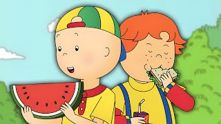 Caillou Has a Picnic  Caillou  WildBrain [upl. by Joel]