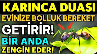 KARINCA DUASI 19 DEFA DİNLE Evinize Bolluk Bereket Rızık Getirir BİR ANDA ZENGİN EDER [upl. by Harman]