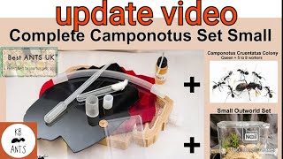 Best Ants UK Camponotus Hybrid Nest Update [upl. by Airdua]