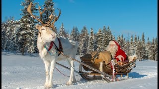 Partenza di Babbo Natale e renne per bambini🦌🎅 messaggio Santa Claus Lapponia Finlandia [upl. by Reivad]