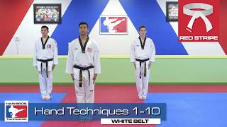 Han Bros Taekwondo White Belt Hand Techniques 110 [upl. by Norat]