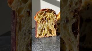 Panettone the hardest thing to make but absolutely possible with passion and love recipe [upl. by Nuriel]