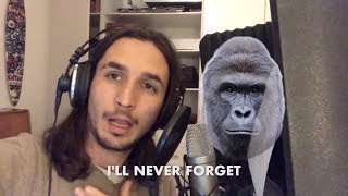 HARAMBE IN LOVING MEMORY 3 YEARS LATER [upl. by Norton]