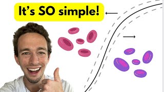 OxygenHemoglobin Dissociation Curve  EASY Explanation with visuals [upl. by Lrat246]