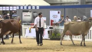 International Dairy Week in Tatura [upl. by Agnizn550]