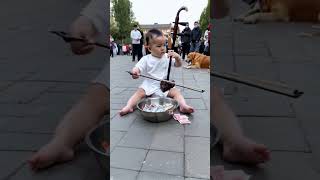 In order to reduce the burden on adults the baby and the dog performed erhu for everyone in the s [upl. by Yelnoc]