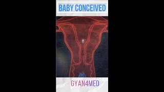 Fertilization How is a baby conceived [upl. by Teddy]