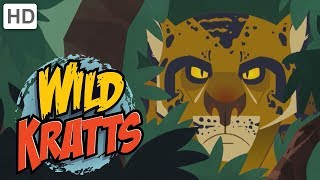 44 Cats  FULL EPISODE  Wild and brave  Season 2 Episode 34 [upl. by Benny]