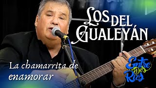 LOS DEL GUALEYAN  quotLA CHAMARRITA DE ENAMORARquot [upl. by Tannie583]